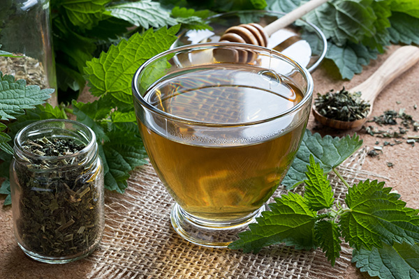 What Does Nettle Tea Taste Like?