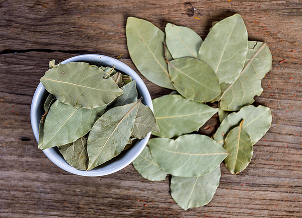 Bay Leaf Tea: Benefits, Side Effects, and How to Make It