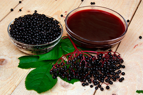 What Does Elderberry Tea Taste Like?