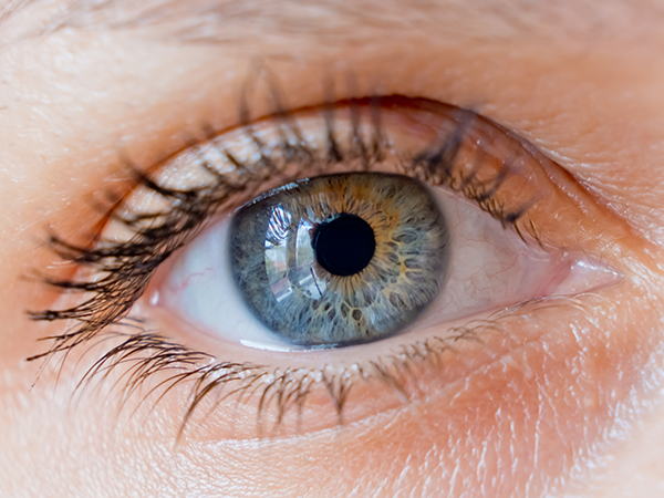 The 9 Best Teas for Eye Health