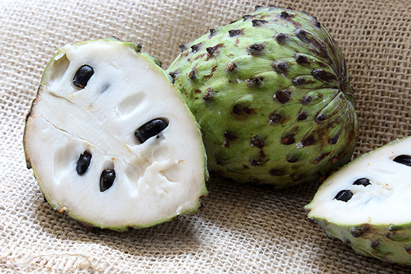 How Often Should You Drink Soursop Tea?