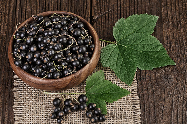 Black currant berries