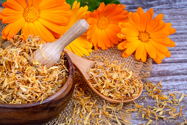 Marigold Tea: Benefits, Side Effects, and How to Make It