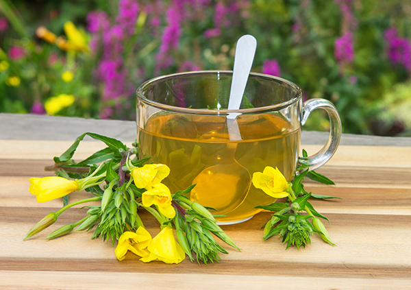 Evening Primrose Tea: Benefits, Side Effects, and How to Make It