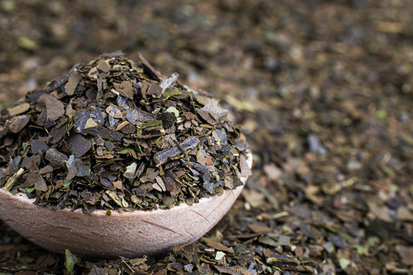 Guayusa Tea: Benefits, Side Effects, and How to Make It