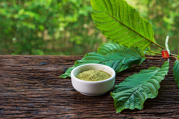 How to Make Kratom Tea With a French Press