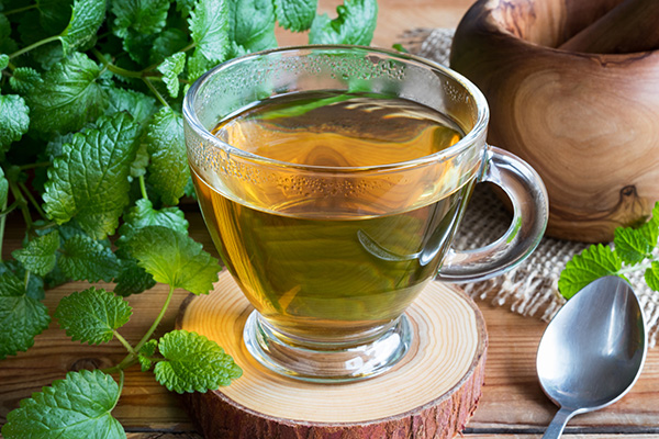 How to Make Lemon Balm Tea • soothing and relaxing!