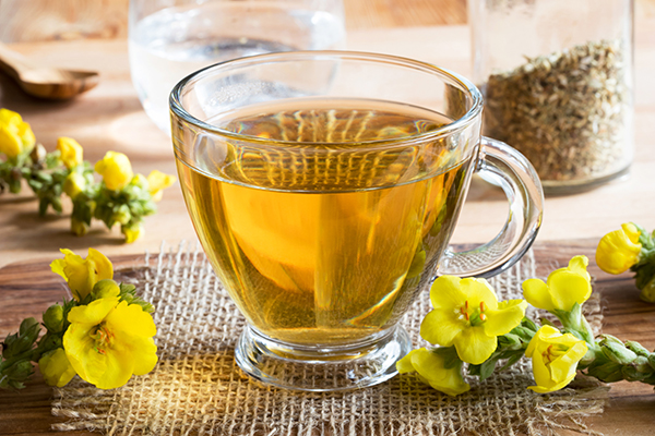 What Does Mullein Tea Taste Like?