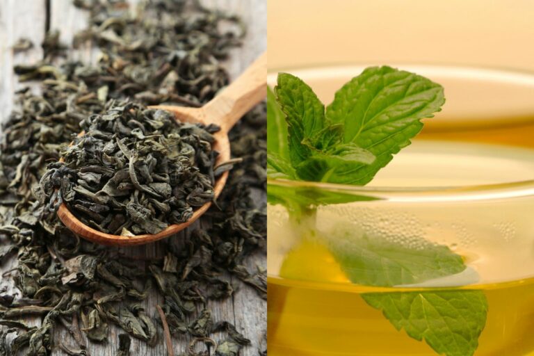 Peppermint Tea vs. Green Tea: What’s the Difference?