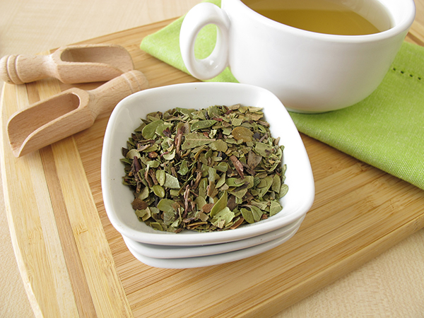 Uva Ursi Tea: Benefits, Side Effects, and How to Make It