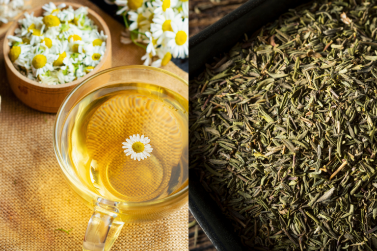 Chamomile Tea vs. Green Tea: What’s the Difference?