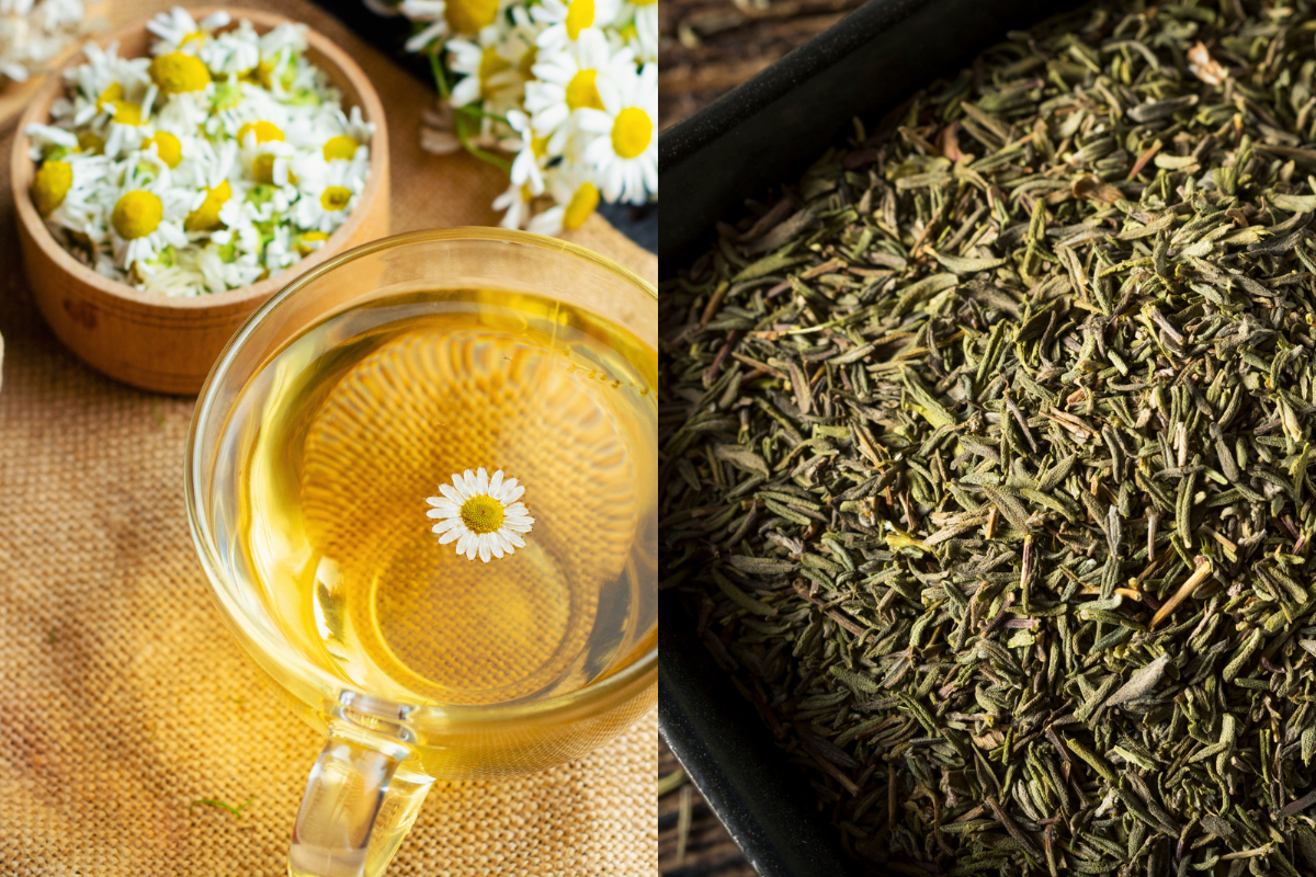 Chamomile Tea Vs Green Tea What S The Difference Chinese Teas 101