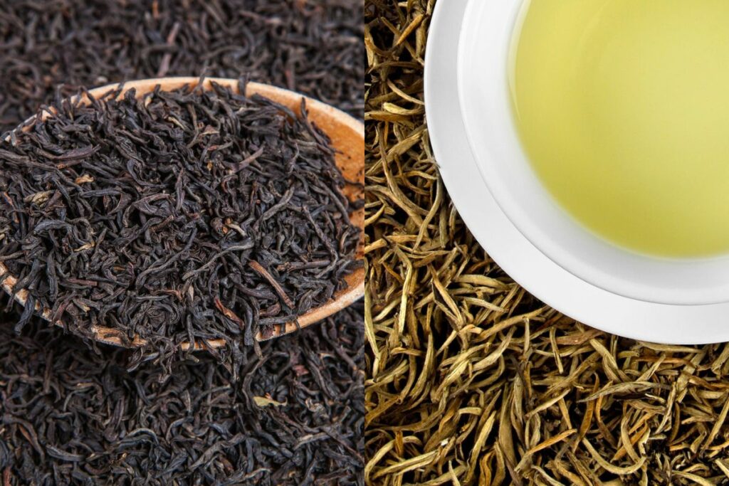 White tea vs. black tea