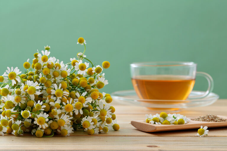 Chamomile Tea When Breastfeeding: Safety, Benefits, and Precautions