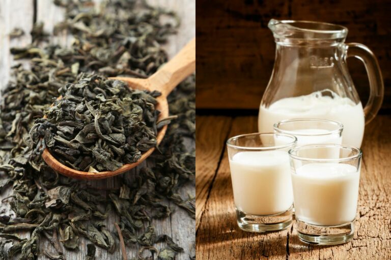 Can You Add Milk to Green Tea?