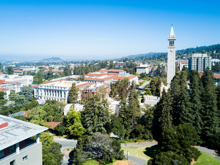 The 6 Best Tea Places in Berkeley