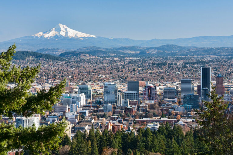 The 10 Best Bubble Tea Spots in Portland