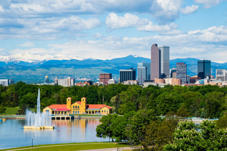 The 10 Best Tea Places in Denver